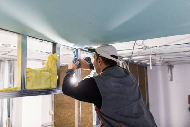 Best Garage Insulation Installation  in Joliet, IL