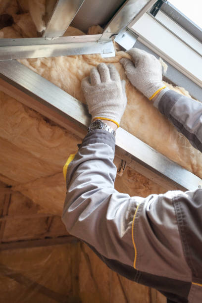 Best Energy-efficient Insulation  in Joliet, IL