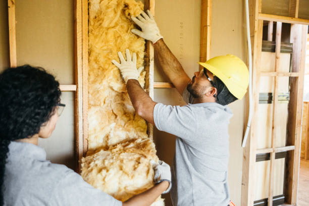 Best Insulation Removal  in Joliet, IL