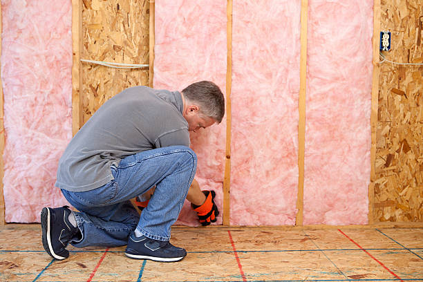 Best Attic Insulation Installation  in Joliet, IL
