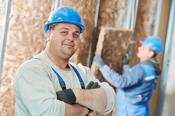 Best Home Insulation Services  in Joliet, IL