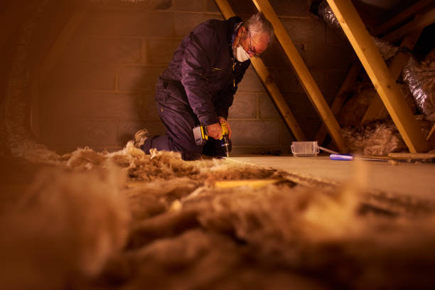 Best Crawl Space Insulation  in Joliet, IL