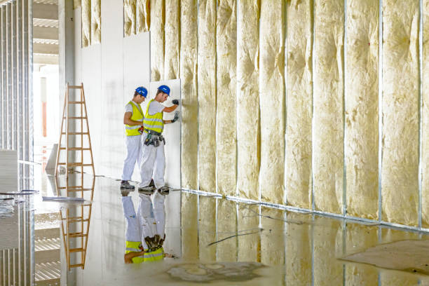 Best Insulation Repair Services  in Joliet, IL
